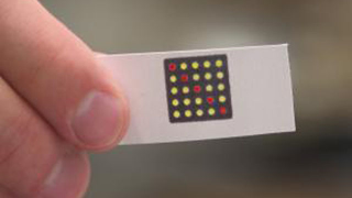 Illustration for article titled Crean un test para ébola consistente en un simple trocito de papel